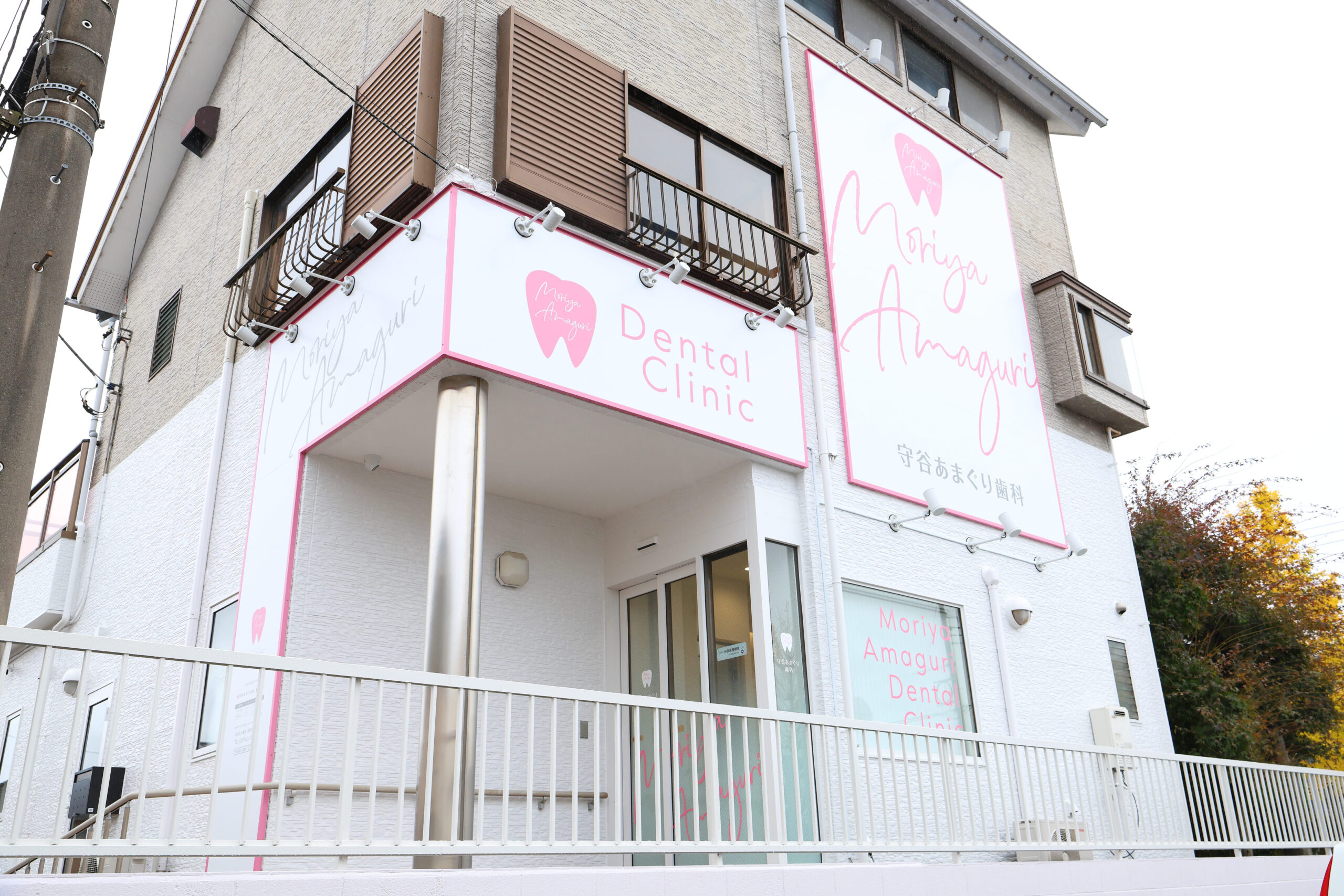 外観
